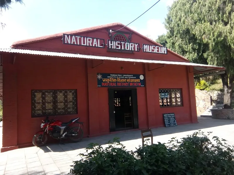 A red building with a big “Natural History Museum” sign on its roof