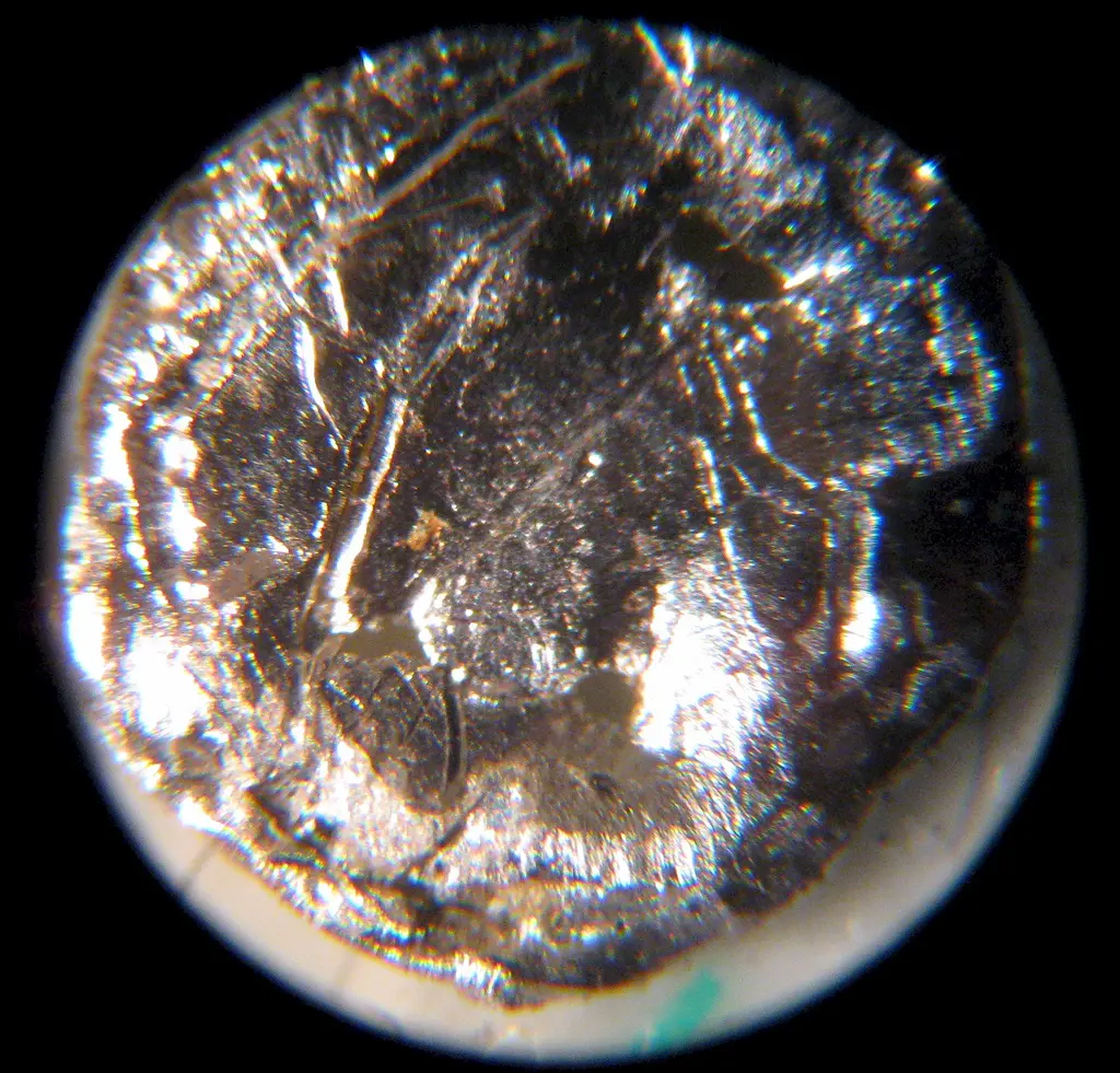 A round, shiny silvery disc seen close up through a microscope, its surface scratched and wrinkled