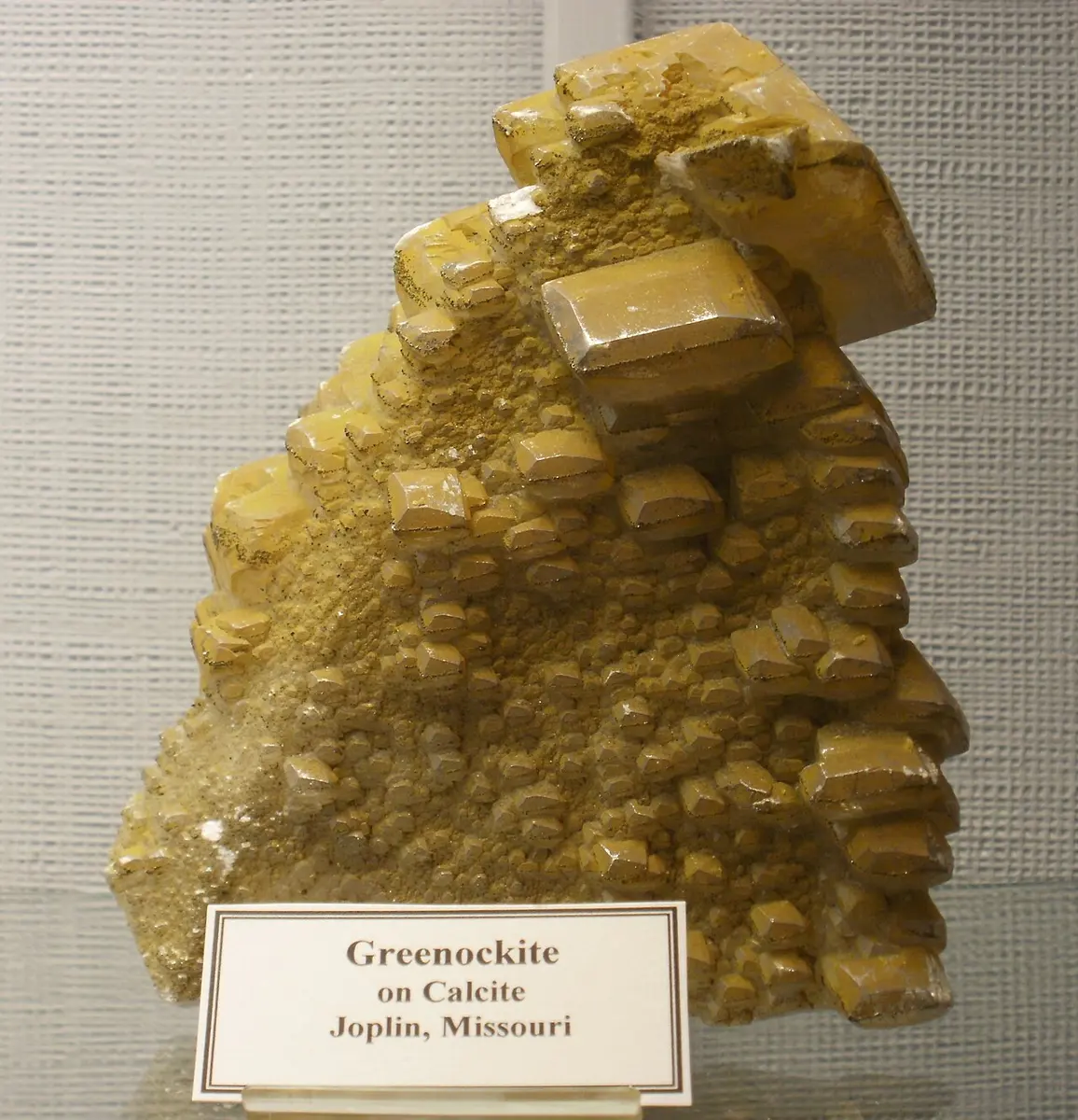 A museum specimen: a stepped mass of blocky crystals, all covered in a dull mustard-yellow crust, with a card reading Greenockite on Calcite, Joplin, Missouri