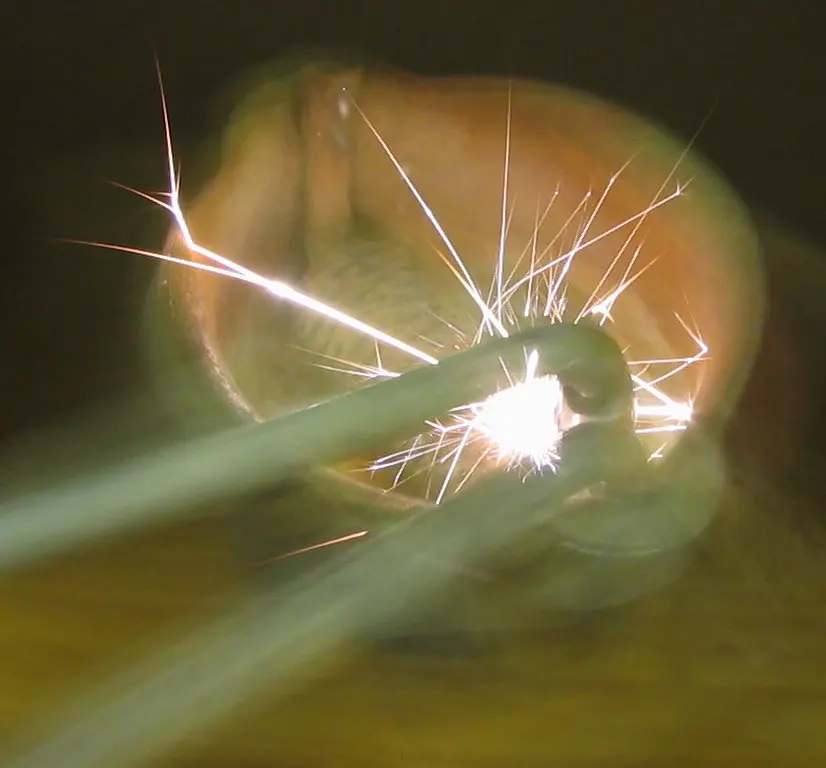 Bright white streaks of sparks flying out of a small cup-shaped striker held on a bent wire, in a dark room