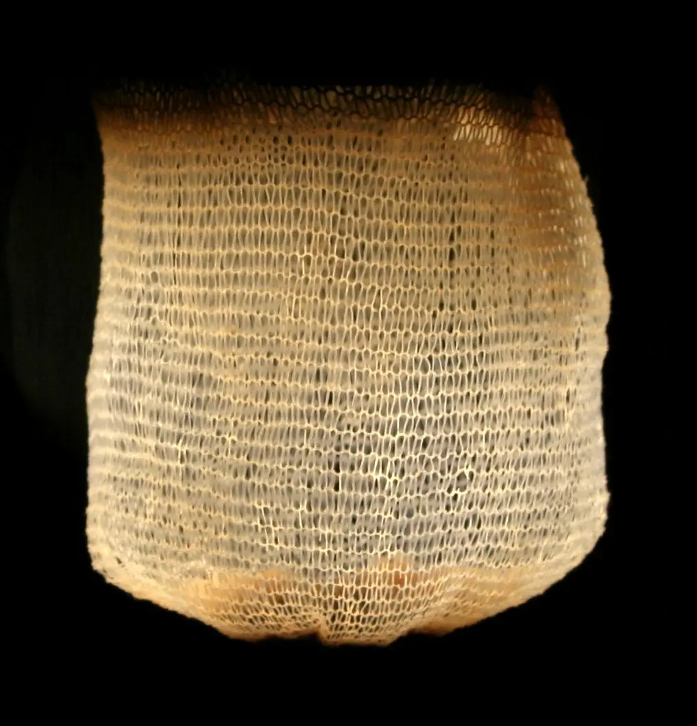 A small bag of fine white mesh glowing brightly against a dark background