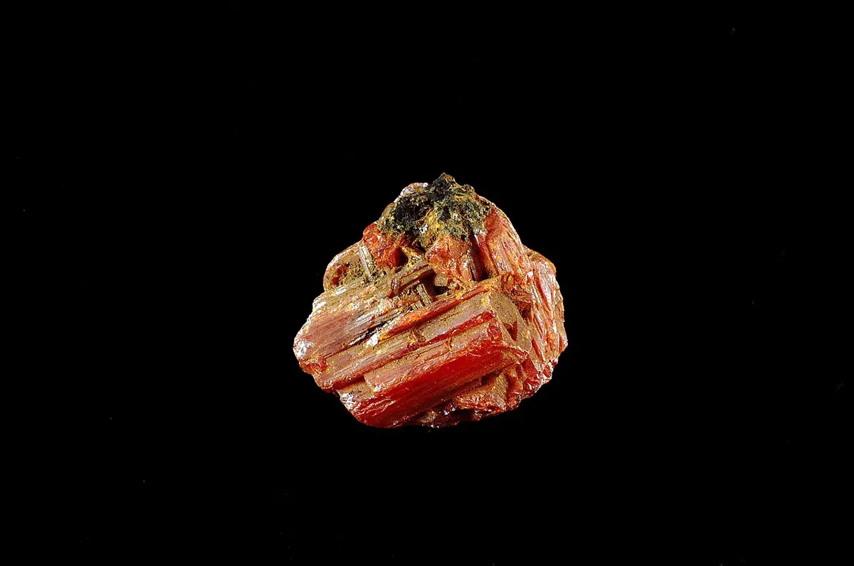 A small lump made of bright orange-red, rod-shaped crystals packed side by side, on a black background
