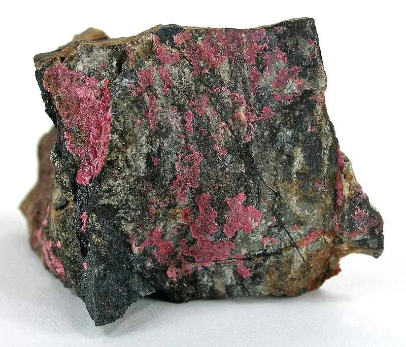 A dark gray rock with bright pink patches on its surface