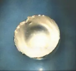 A small, round, shiny, pale metal bead with a crinkled edge, on a blue background