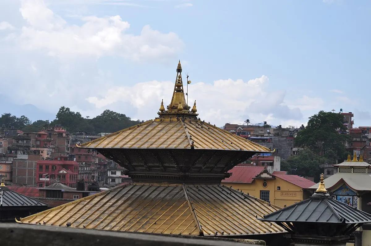 The golden two-tiered pagoda roof of a temple with a golden spire, seen from above among the roofs and trees of a city