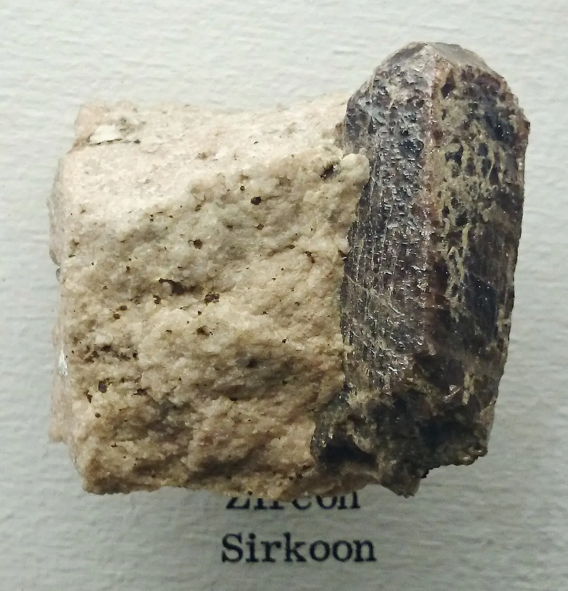A dark brown, rough, rod-shaped crystal stuck to the side of a lump of pale cream-colored rock, with a museum label below
