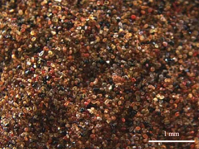 Close-up of fine sand: tiny rounded grains in shades of honey-yellow, orange, red-brown and black, with a 1 mm scale bar