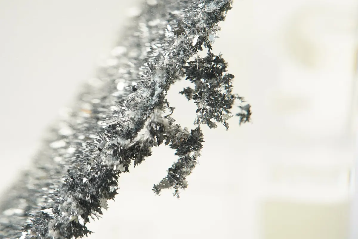 A close-up of a strip covered in many tiny, glittering dark gray crystals branching out like feathery leaves