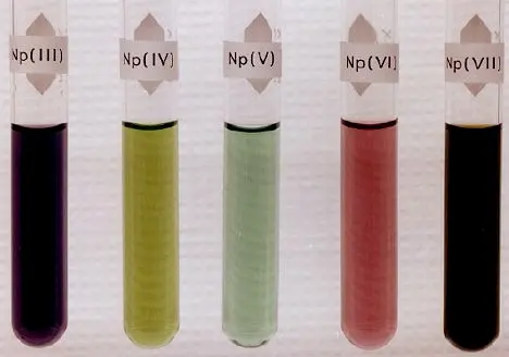 Five test tubes of liquid in a row, labeled Np(III) to Np(VII): dark purple, yellow-green, pale green, pinkish red and almost black