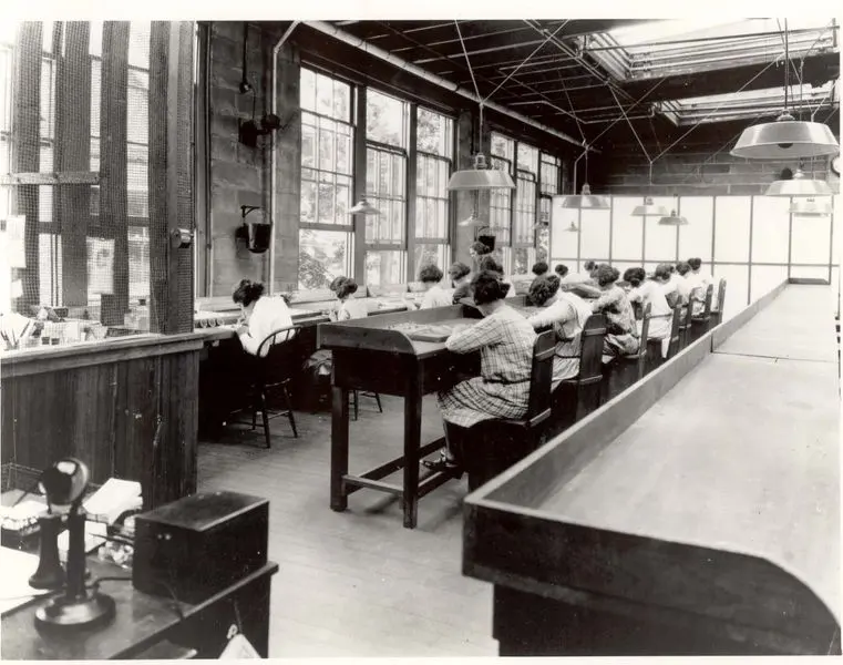 An old black-and-white photo of a long, bright factory room with large windows, where rows of young women sit at tables bent over their work