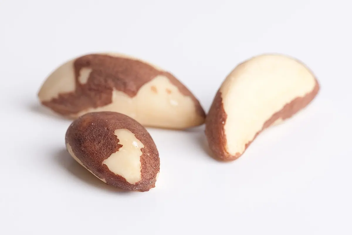 Three shelled Brazil nuts, long and curved, cream-colored with patches of brown skin, on a white background