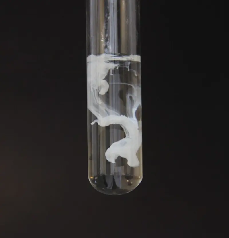 A test tube of clear liquid with thick, white, cloudy swirls sinking through it
