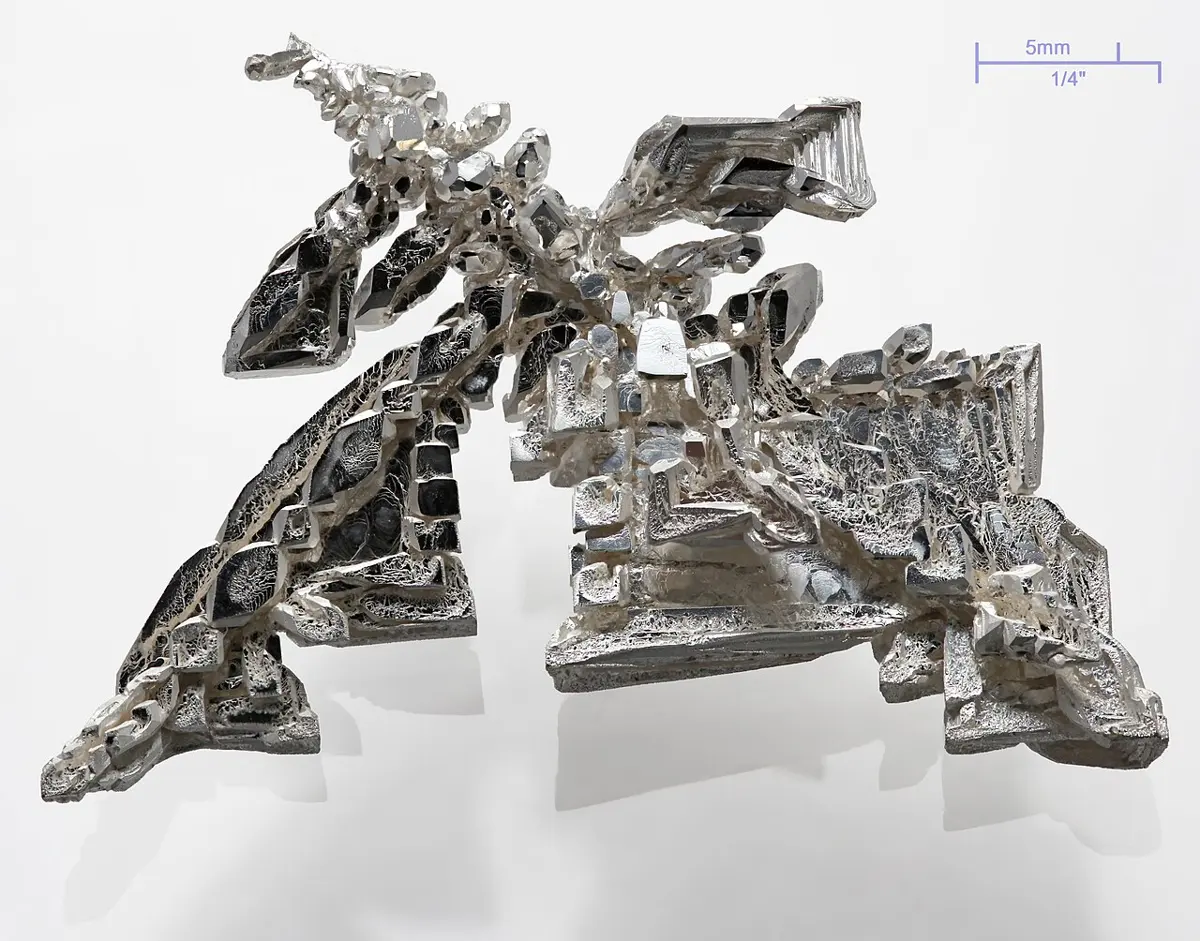 A bright, white-silver metal crystal with branching, fern-like arms and flat faces on a white background
