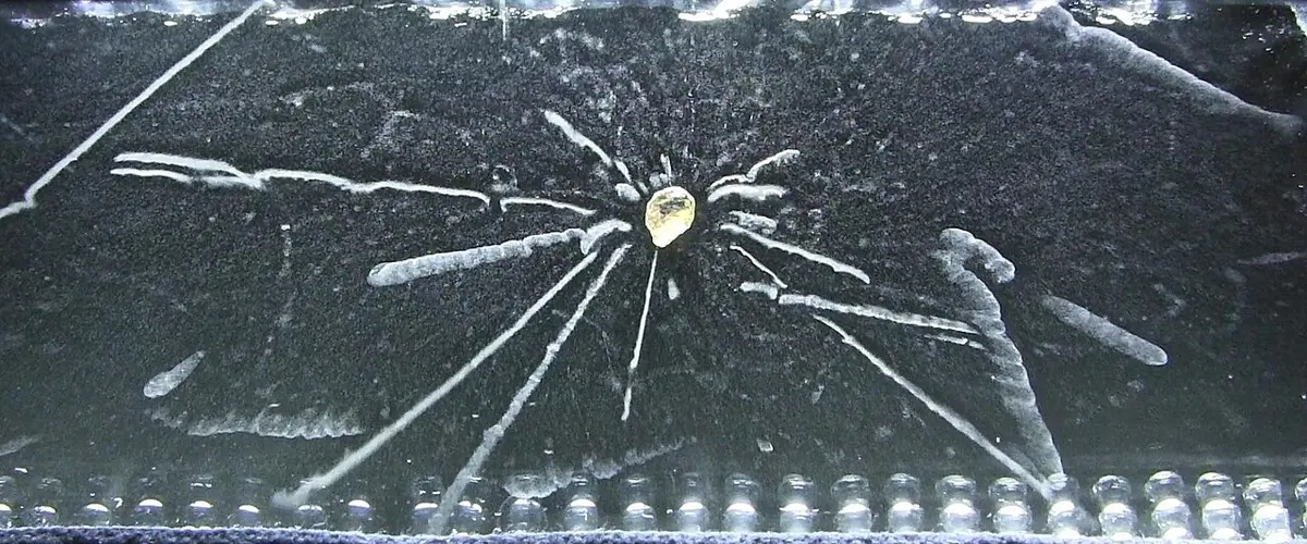 A small yellowish grain on a dark floor, with thick white streaks of mist shooting out from it in all directions, like the spokes of a wheel
