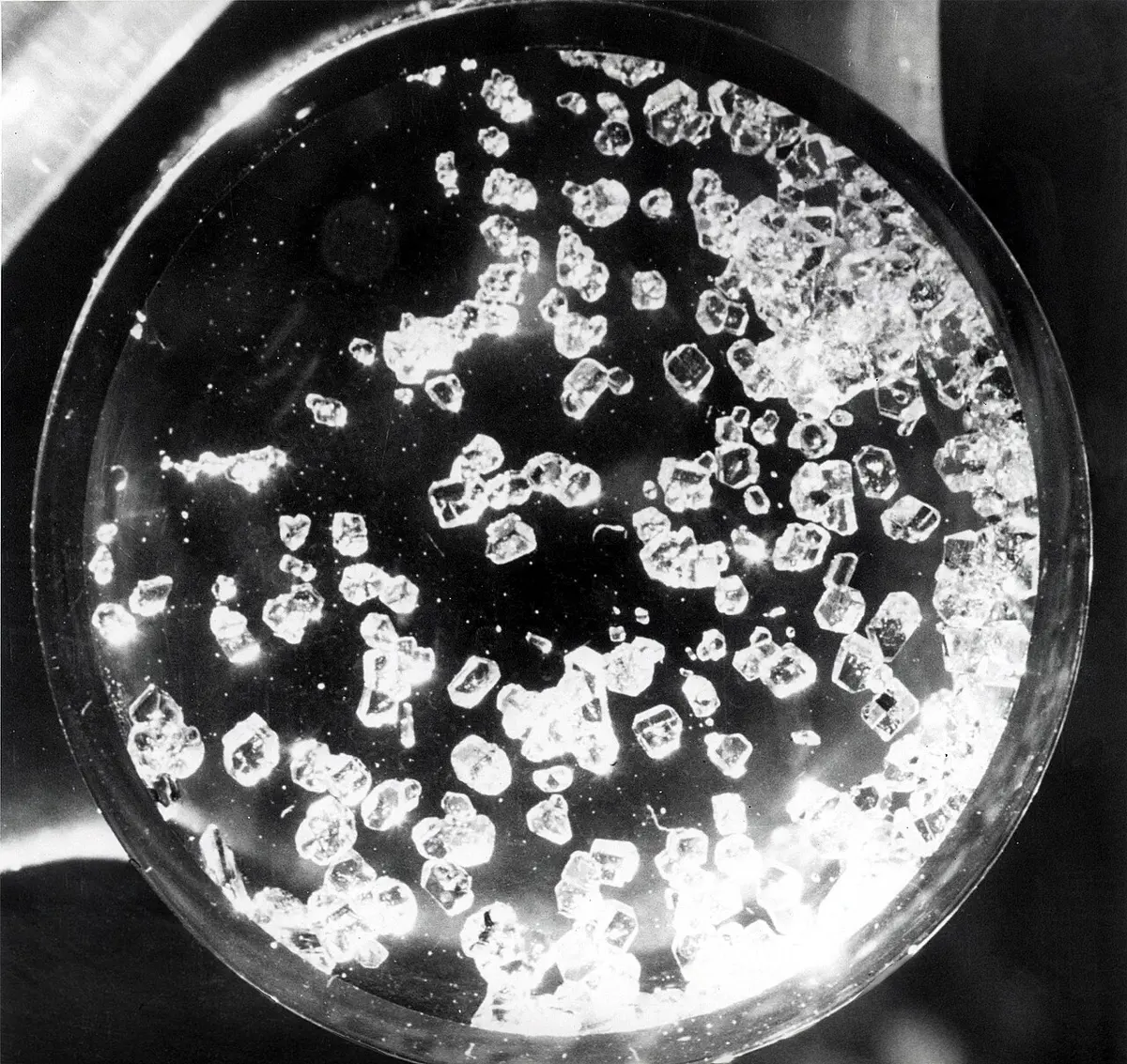 Black-and-white photograph of many small clear crystals, like grains of sugar, scattered in a round glass dish