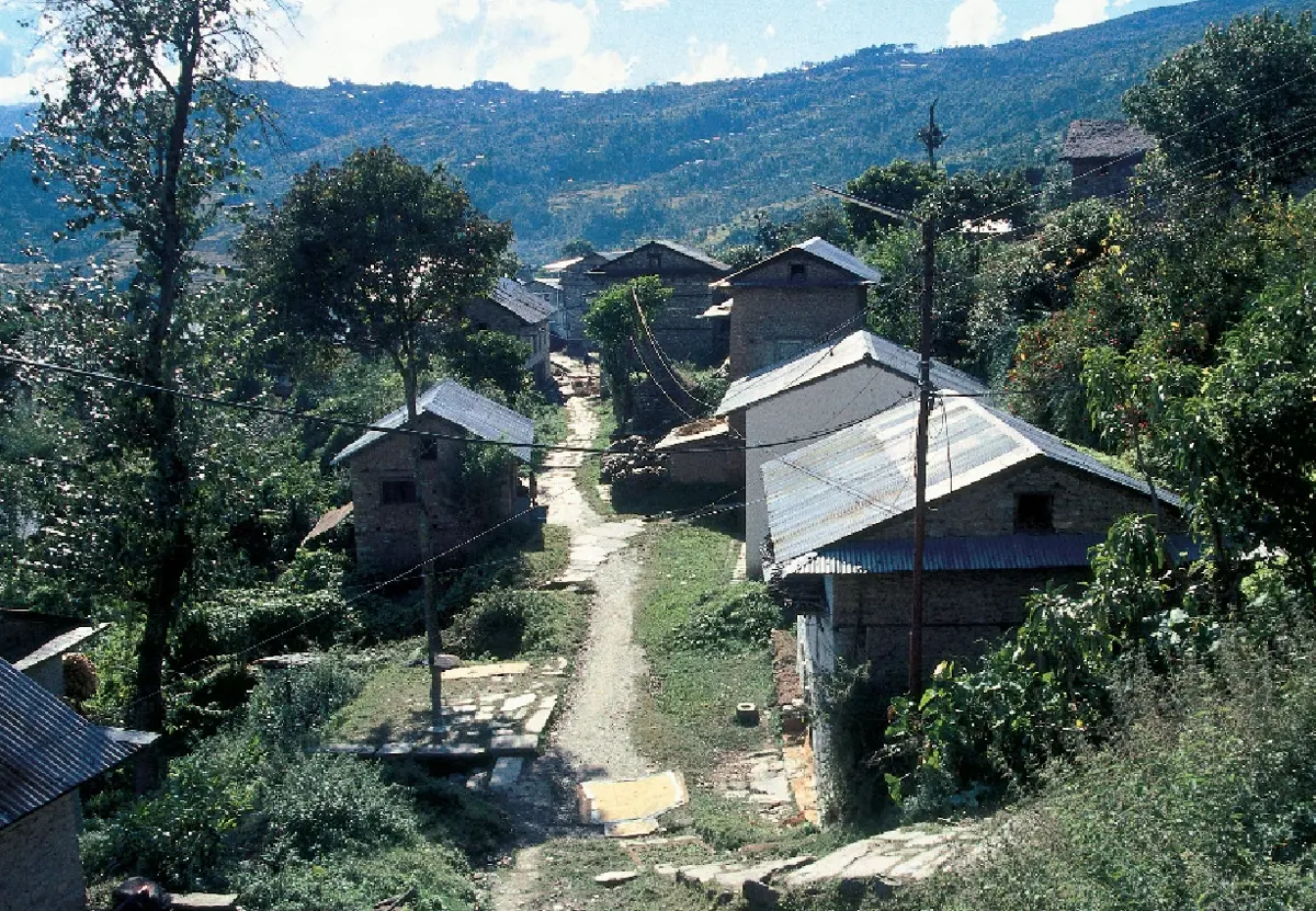 A hillside village of two-storey stone houses with gray corrugated metal roofs along a stone path, with green fields and hills behind