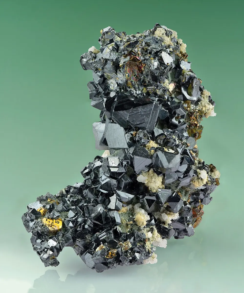A lump of rock covered in shiny black crystals with flat, triangular faces, and a few small brassy-yellow and white grains among them, on a green background