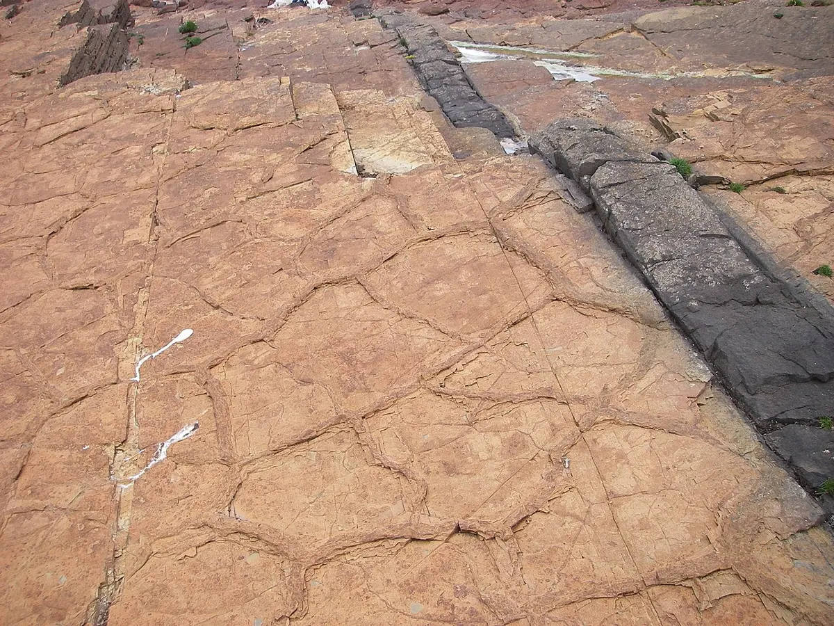 Looking down at a flat, pinkish-brown rock surface covered in a network of old mud cracks, with a straight band of dark gray rock running across it