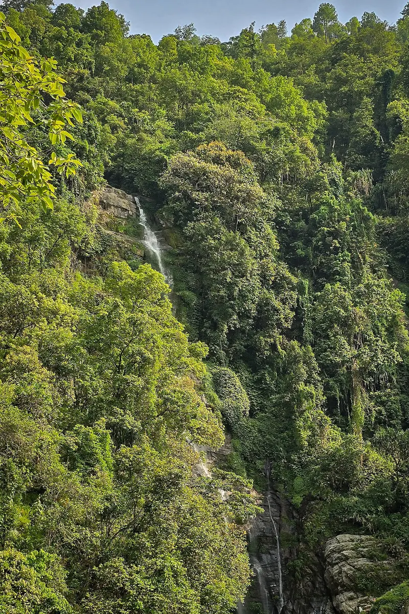 A tall, thin waterfall falling down a cliff in the middle of a steep hillside covered in thick green forest