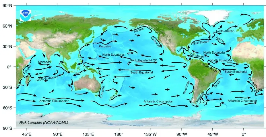 A world map with black arrows in every ocean showing the main surface currents, each named: the Gulf Stream, the Kuroshio, the Peru/Chile current, the Antarctic Circumpolar current and others, going round each ocean in great loops