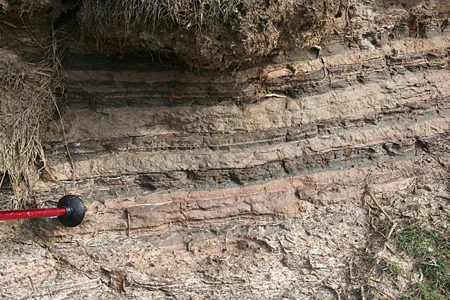 A low bank of rock and earth with thin, wavy pale and dark stripes, and the red shaft and black tip of a walking pole lying against it