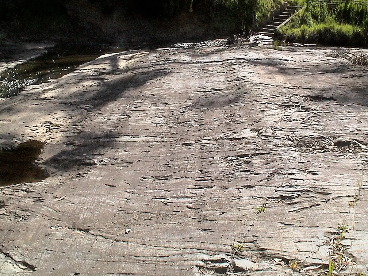 A smooth, gently sloping surface of gray rock by a stream, with faint straight grooves running across it