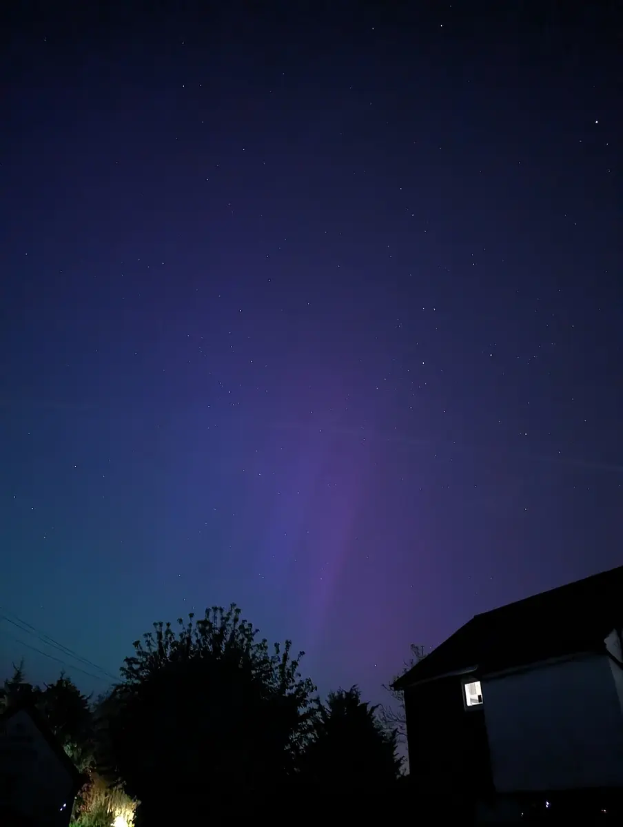 A night sky with a purple glow rising in a broad pillar above dark trees and a house