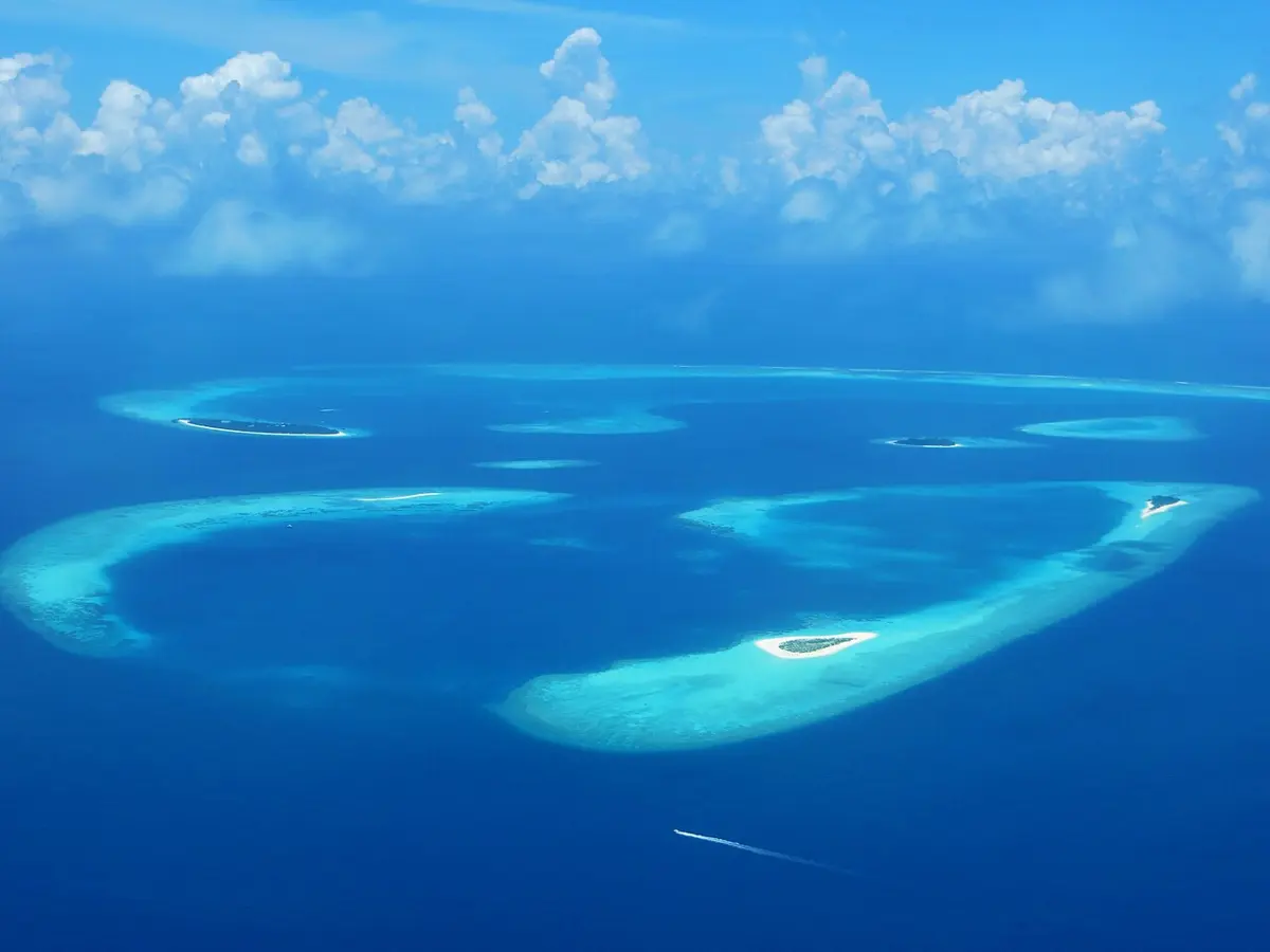 Seen from a plane, pale blue rings and curves of shallow reef in a deep blue sea, with a few small islands of white sand and green trees on them
