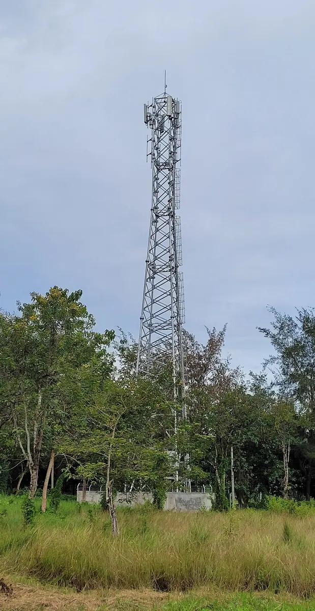 A tall steel lattice tower rising above trees, with flat gray panels fixed around its top