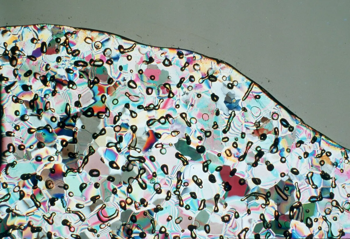 A thin slice of ice, lit so that its crystals show as patches of many colors, scattered with hundreds of dark, rounded air bubbles