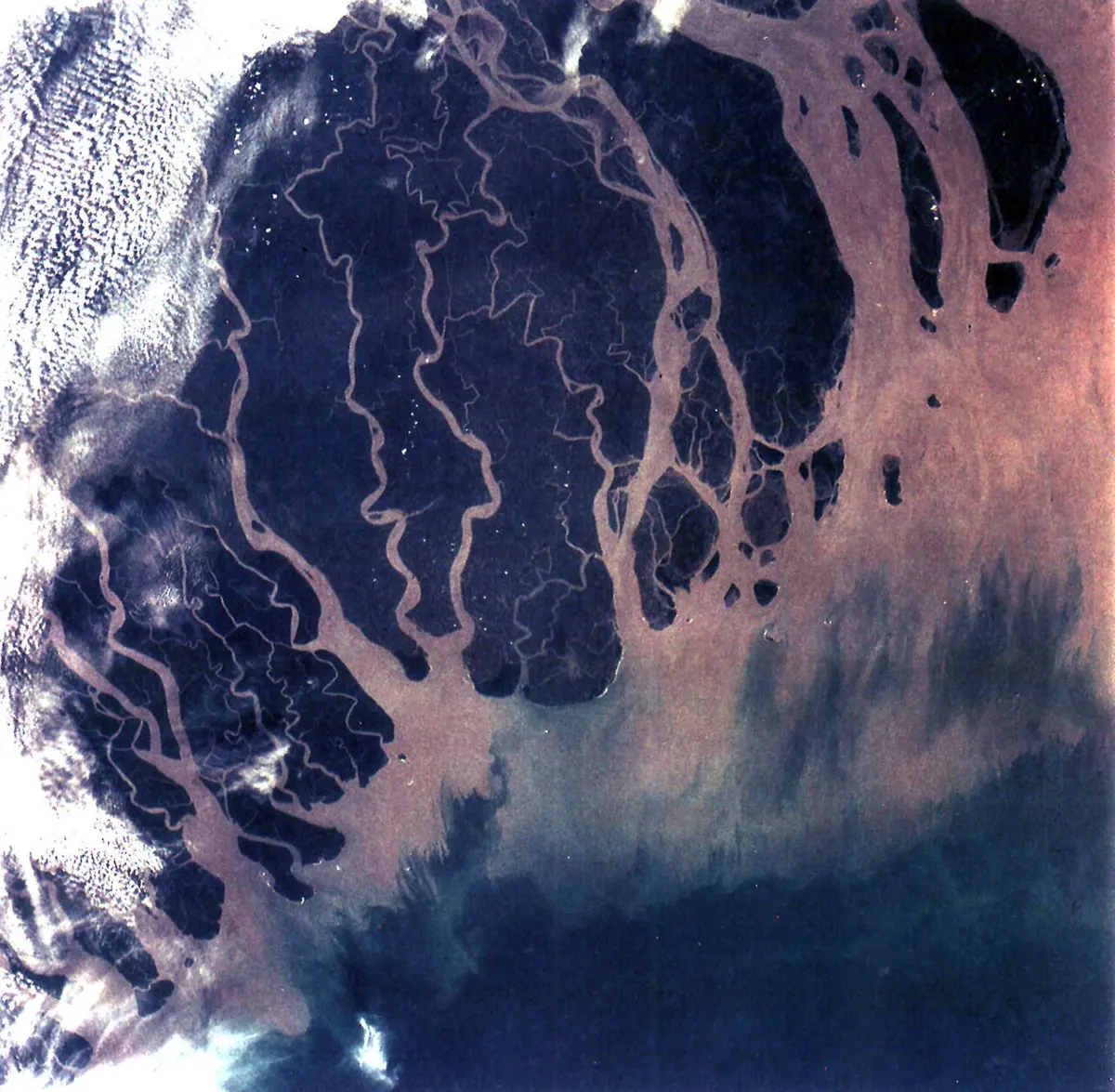 A view from space of a dark green land cut by many winding brown channels, with brown, muddy water spreading out into the dark blue sea at the bottom