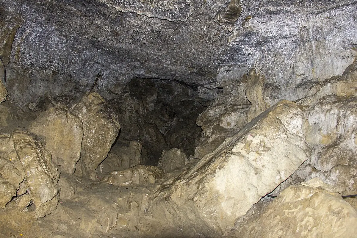 A low, dark cave passage in gray rock, its floor and walls covered in pale, rounded lumps of stone with a wet, rippled surface