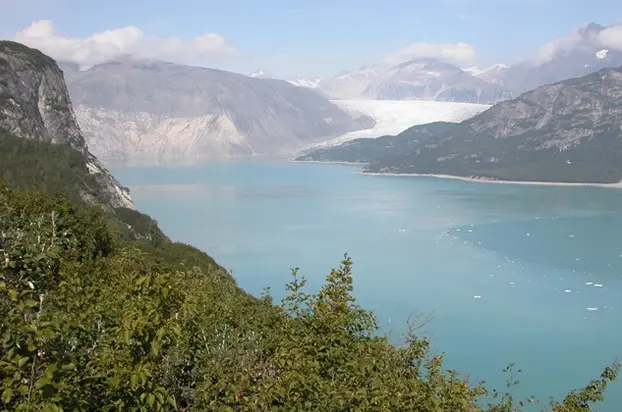 A long, calm blue-green inlet between steep mountains, with a glacier far away at its end; the slope in front is thick with green shrubs