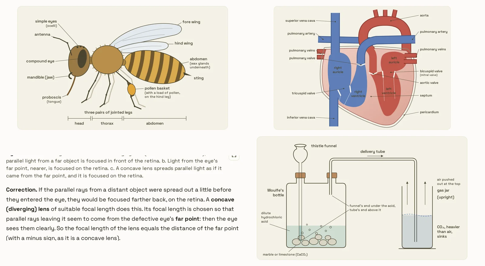 A page of the book: a labeled honey bee, the heart, the eye with a concave lens, and an apparatus making carbon dioxide