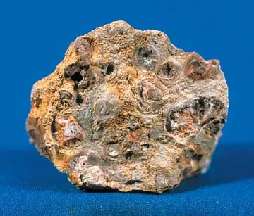 A lumpy reddish-brown and cream rock full of small rounded grains