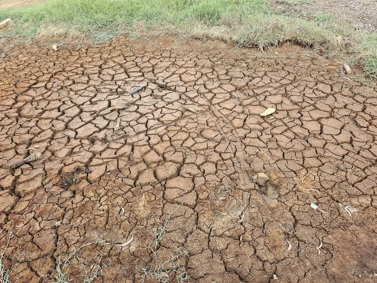 Dry ground cracked into many irregular plates