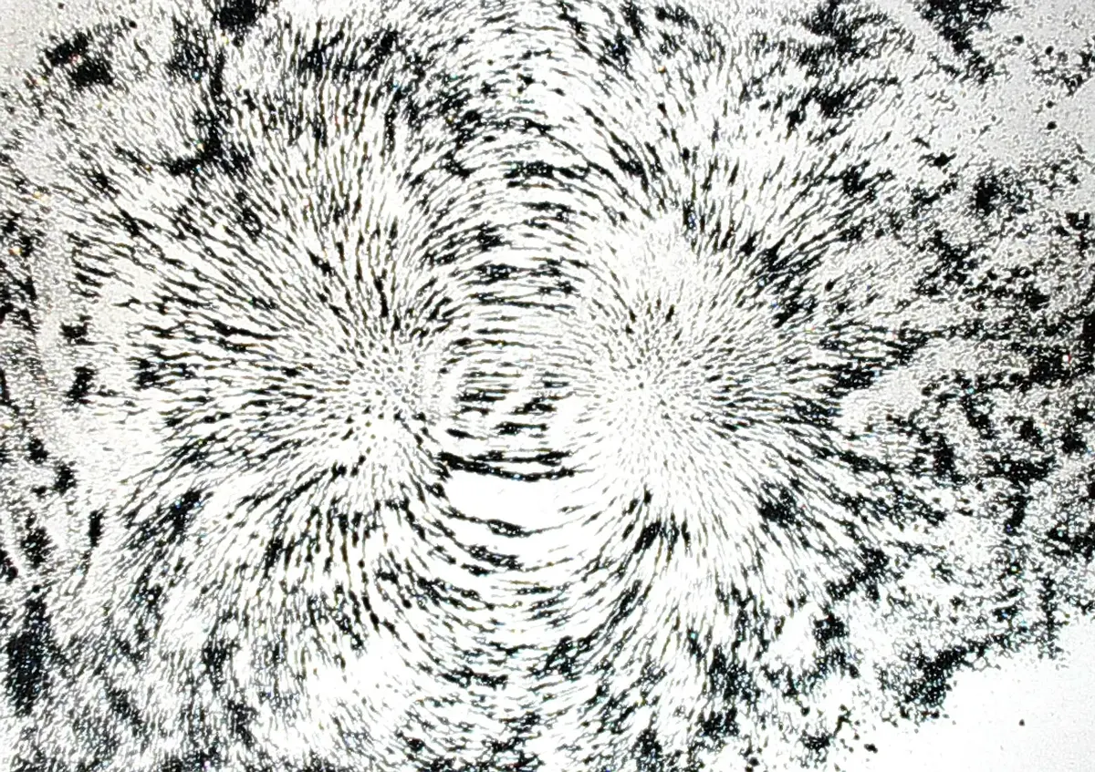 Iron filings on paper forming curved lines around a bar magnet, crowded at its two ends
