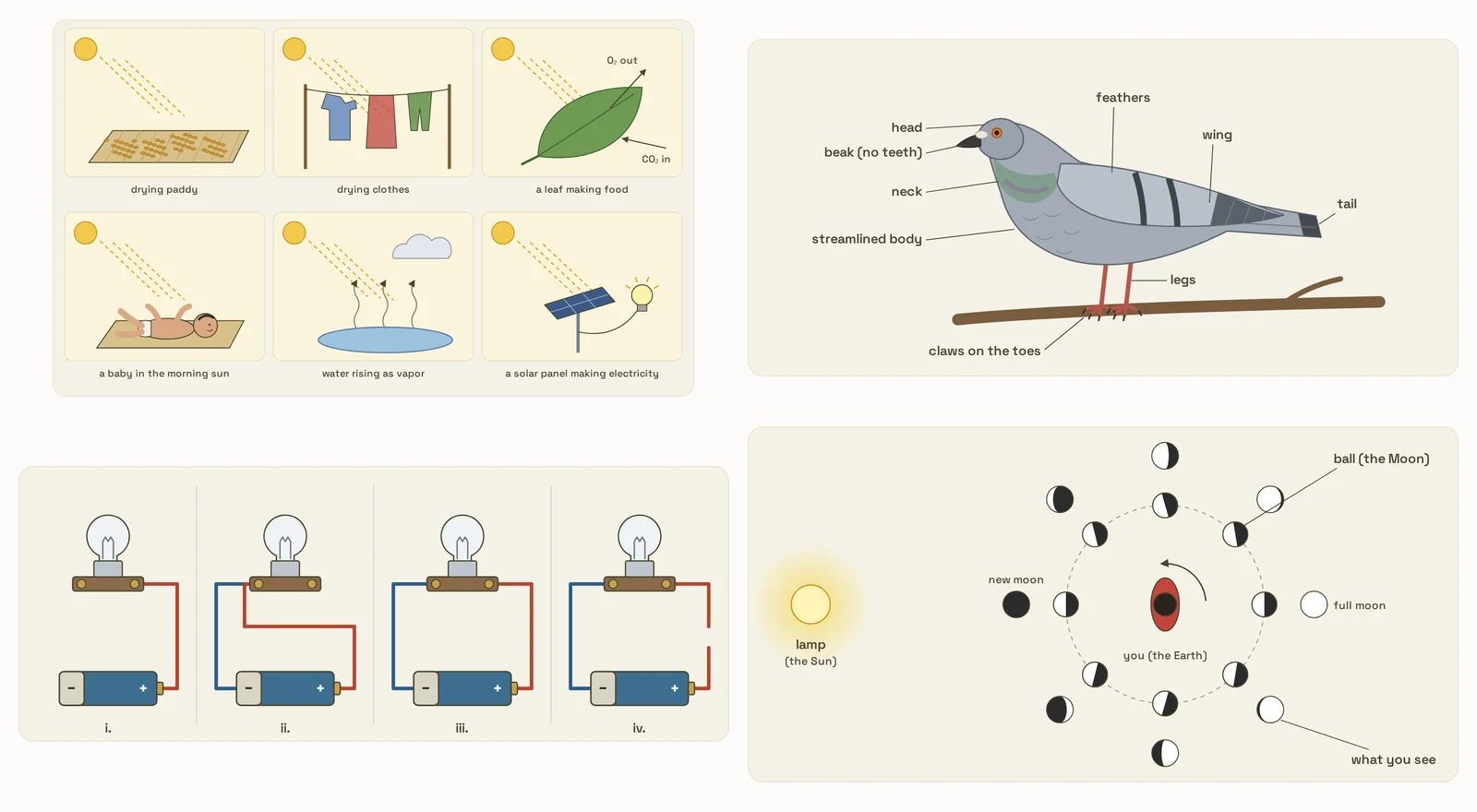 Four of the book’s diagrams: six things the Sun does for us, a pigeon’s body parts, four circuits of a dry cell and a bulb, and the Moon’s phases seen with a ball and a lamp.
