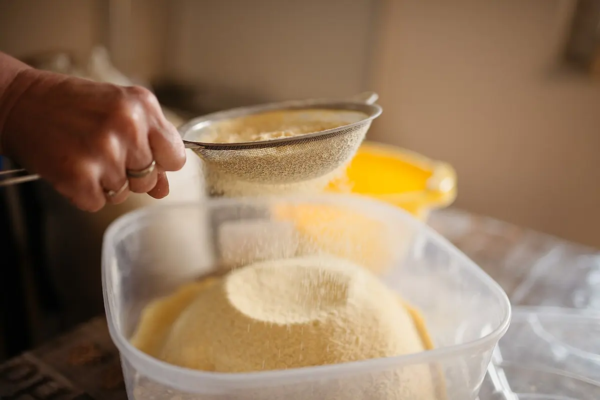 A hand holding a fine metal sieve, with yellow corn flour falling through into a plastic box
