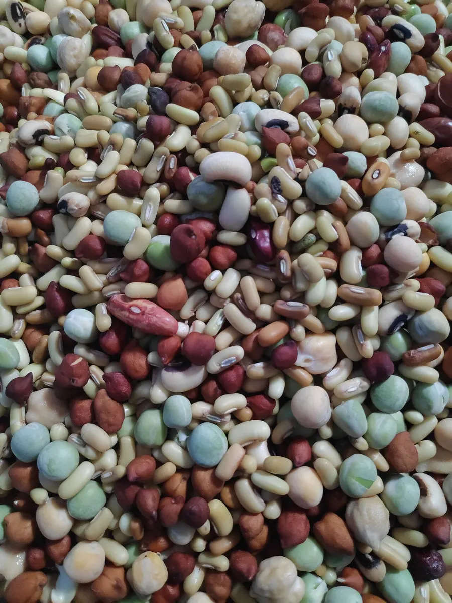 A heap of many different dry beans: white, cream, red, brown, speckled and pale green
