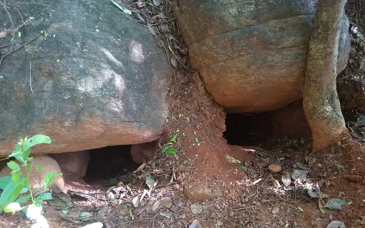 ठुला ढुङ्गामुनि रातो माटामा खनिएका दुईओटा अँध्यारा दुलो, दुम्सीको गुफाको मुख
