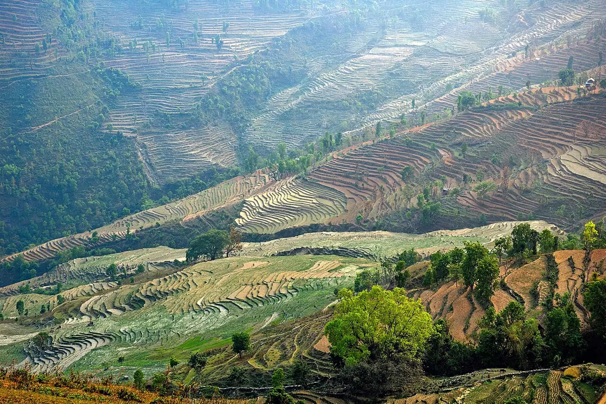 नेपालका भिरालो हरिया र खैरा पहाड, सयौँ साँघुरा र घुमाउरा गरा खेत, केही रुख र घरसहित