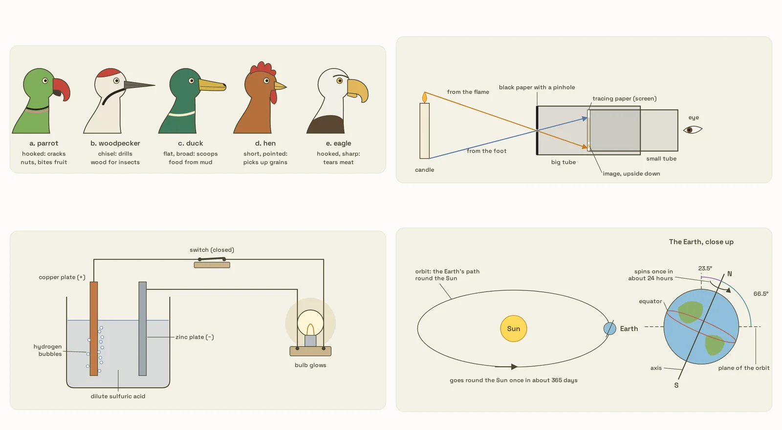 Four of the book’s diagrams: five birds’ beaks and what each is for, a pinhole camera making an upside-down image of a candle, a simple cell of copper and zinc plates lighting a bulb, and the Earth going round the Sun with its tilted axis.