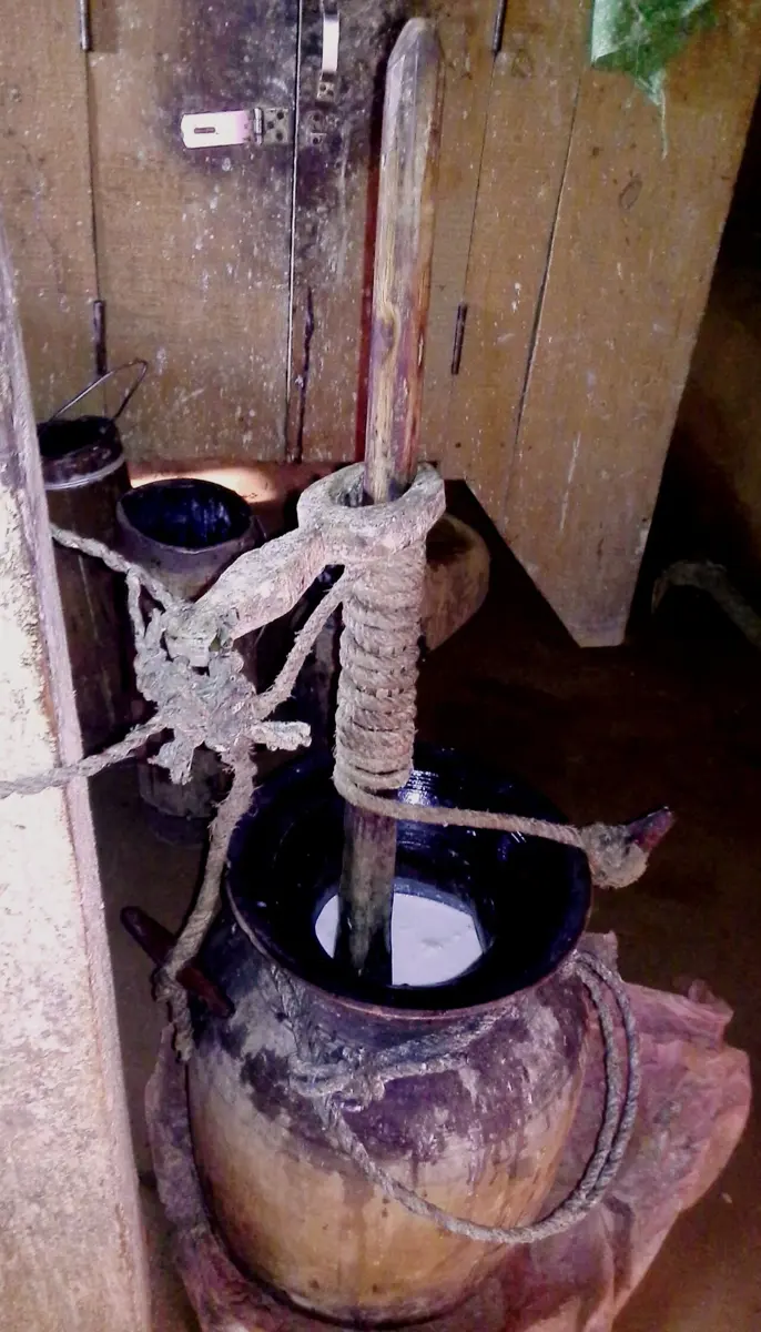 A dark wooden pot of white curd with a tall wooden churning stick standing in it; a rope is coiled round the stick, which is held upright by a wooden loop tied to a post