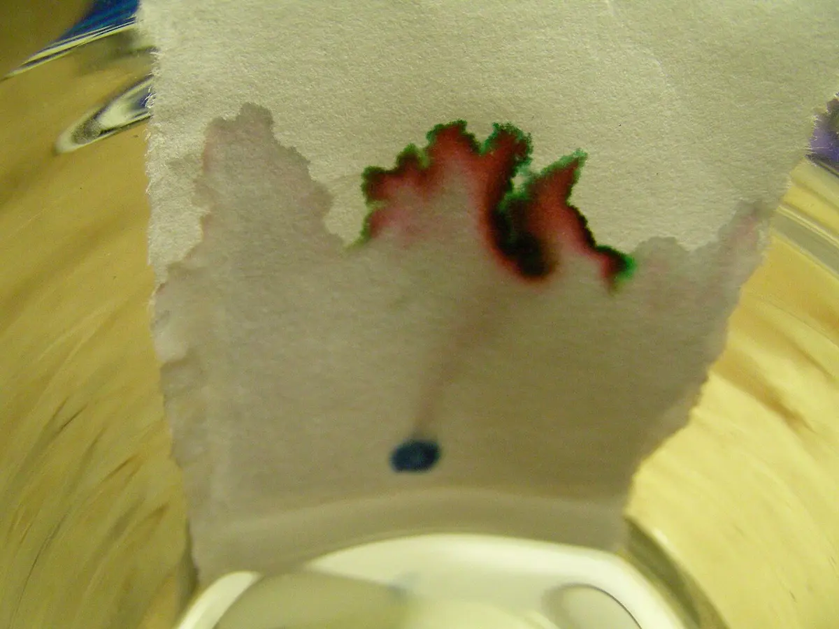 A strip of paper in a glass of water; above a dark blue spot of ink, a band of red edged with green has moved up the paper