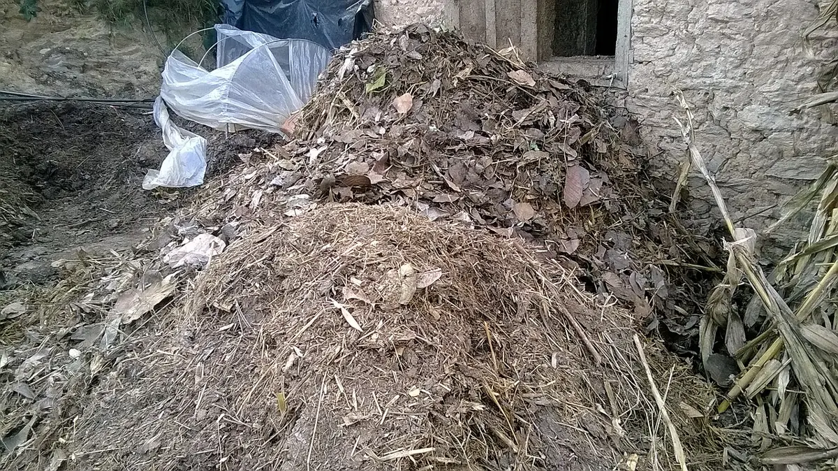A heap of dry leaves, straw and plant waste piled beside a house