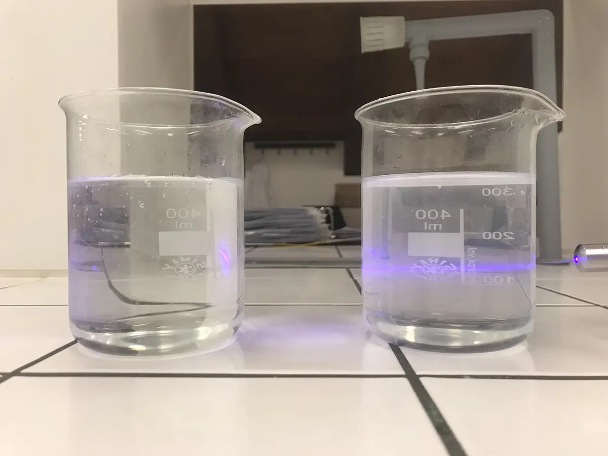 A violet laser beam shining through two beakers from the right; its path glows as a line in the right beaker, which holds a little milk in water, but can’t be seen in the left beaker of clear liquid