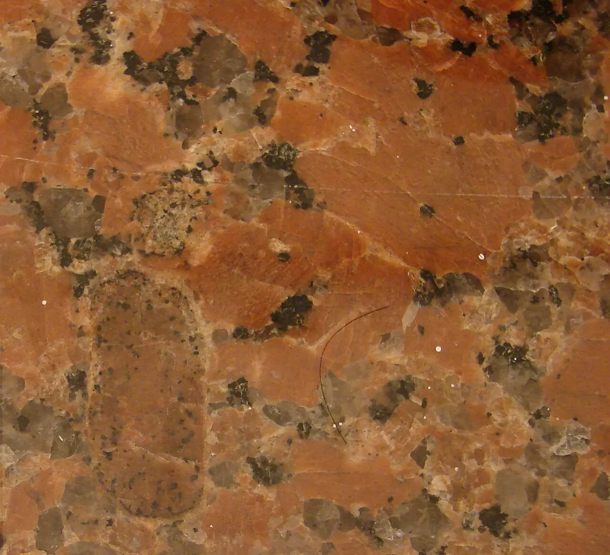 A polished slab of pink rock speckled with large gray and black grains