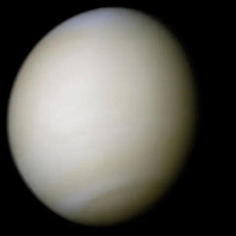 A smooth, pale yellowish-white ball against black space