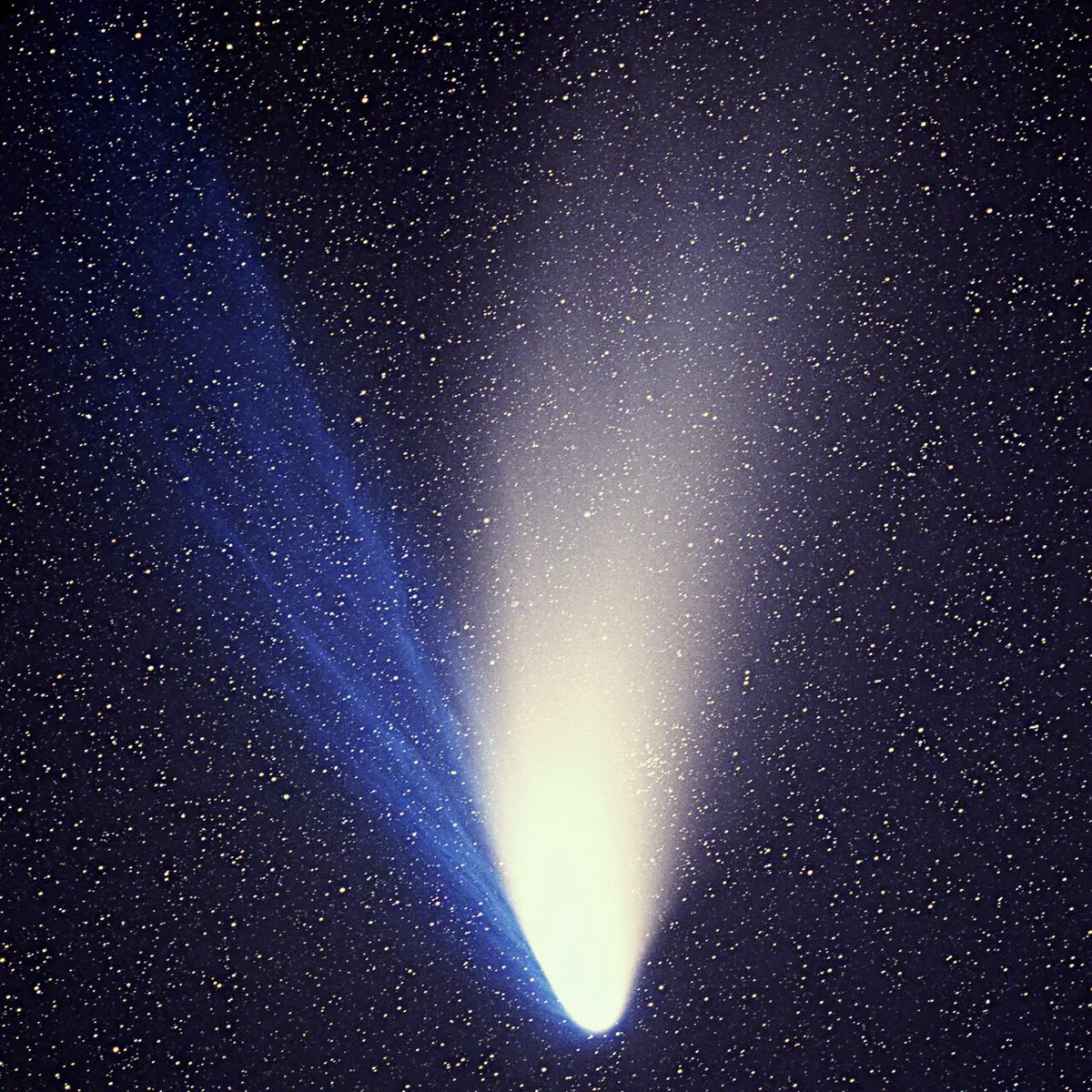 A bright comet in a starry sky with a broad white tail and a separate thin blue tail
